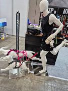 2026-02-01-at-170716-1